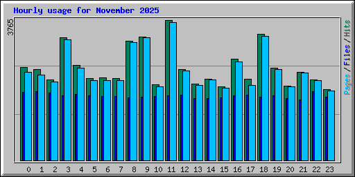 Hourly usage for November 2025