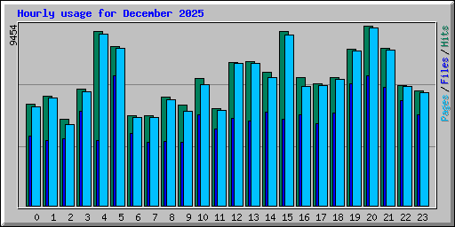 Hourly usage for December 2025