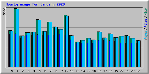 Hourly usage for January 2026