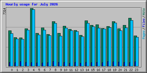 Hourly usage for July 2026